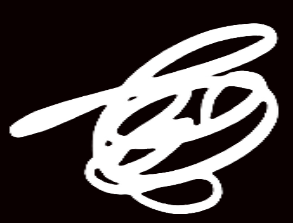luca graphic white.png