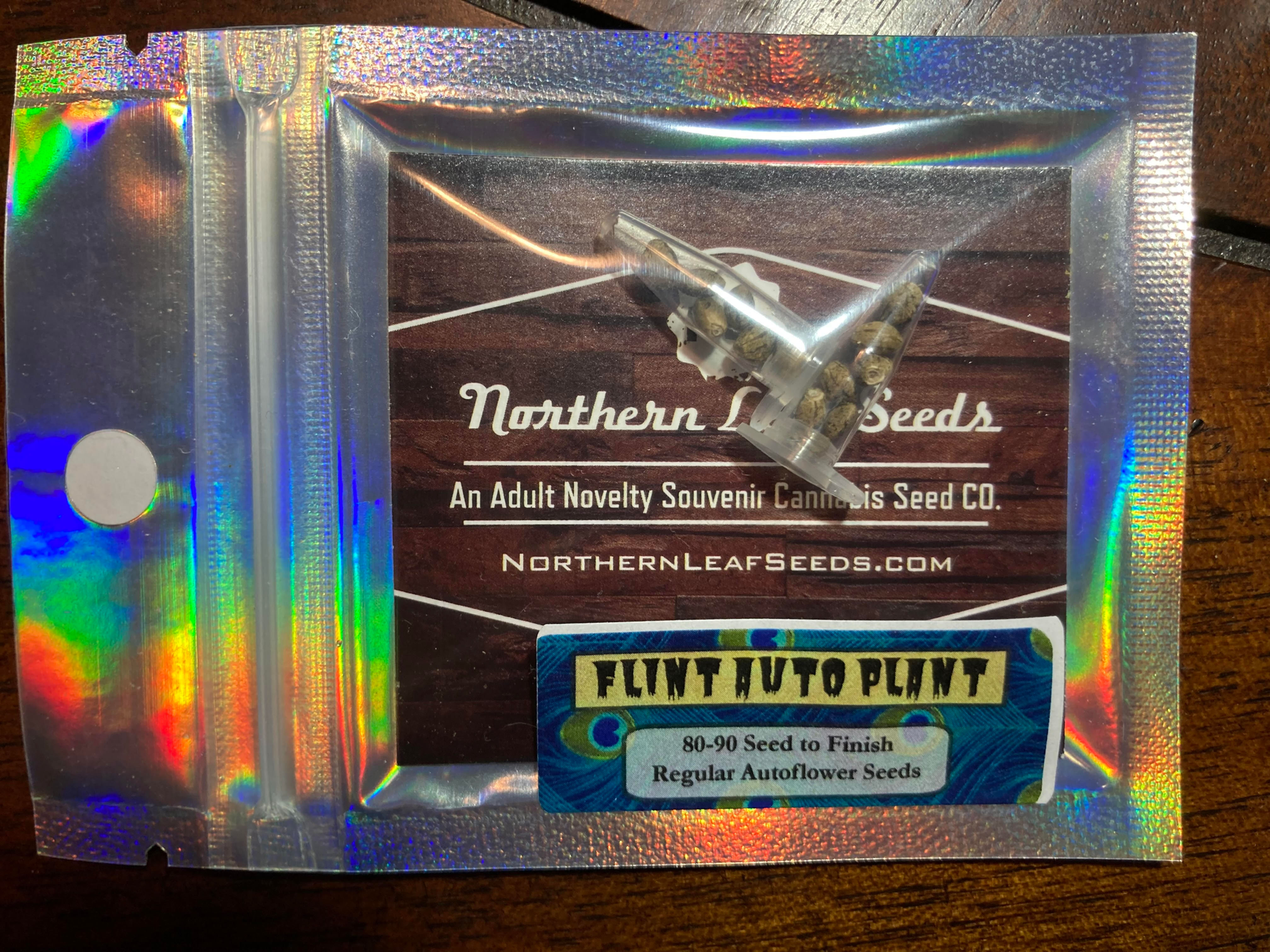 FLINT AUTO PLANT F2 Regular Autoflowers