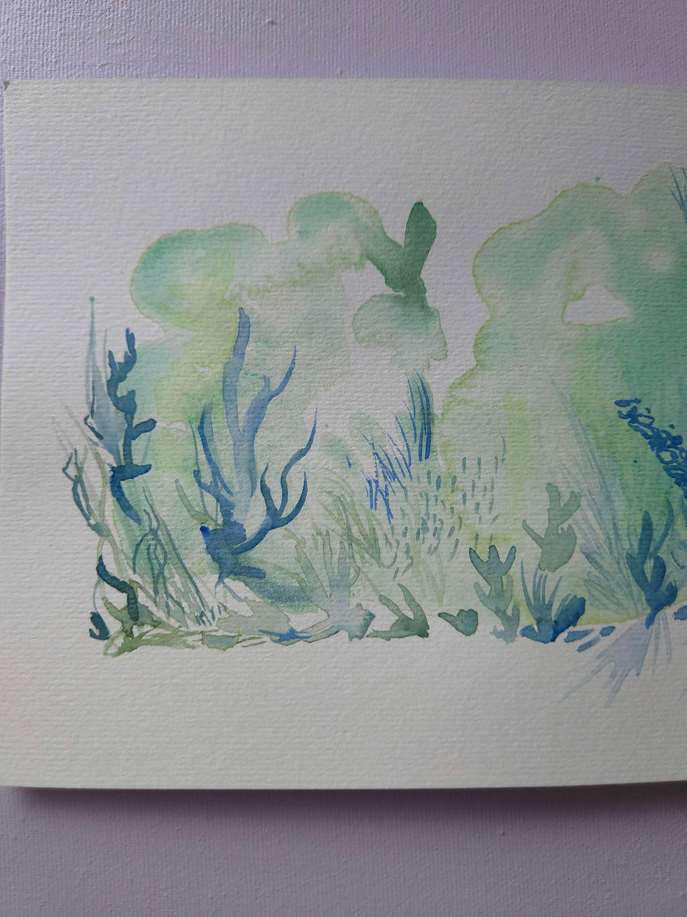 Miniature : Lac Saccacomi