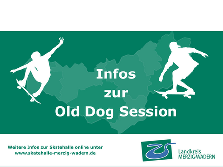 Old Dog Session
