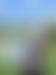 恭喜季群拿下他在美國的第一場AJGA冠軍🏆!