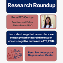 Research Roundup - August 2025