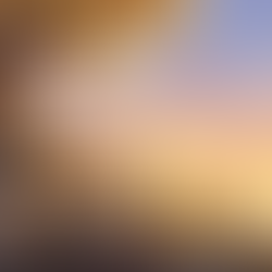 Failure Is The Universal Path To Success