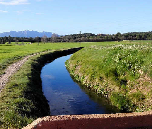 La Sequia de Manresa