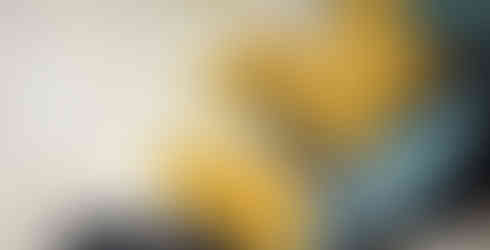 Immagine rappresentativa del progetto 'FOLIA'