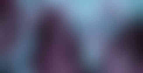 Immagine rappresentativa del progetto 'FRIDA'