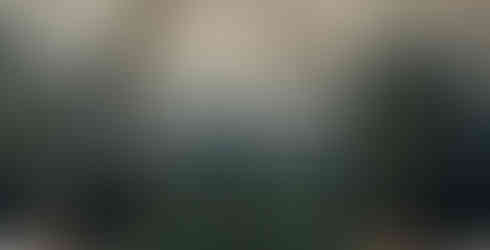 Immagine rappresentativa del progetto 'DANDELION'