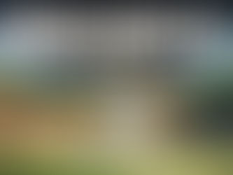 Wheon Cricket 07: Download, Features, System Requirements & Installation Guide (2025)