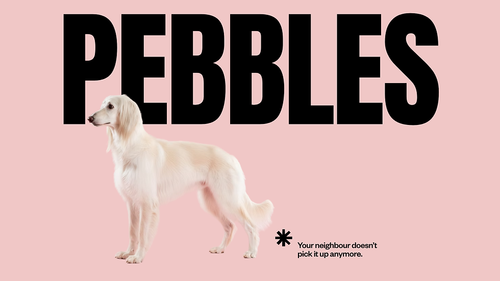 pebbles flyer front a5 (1920 x 1080 px).png