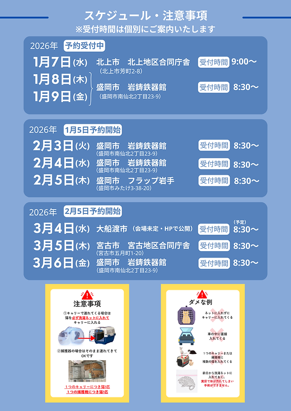 モバイルスペイチラシ (2).png