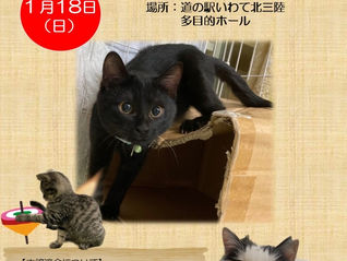 2026年1月18日道の駅いわて北三陸