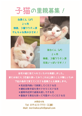 里親募集チラシ例.png