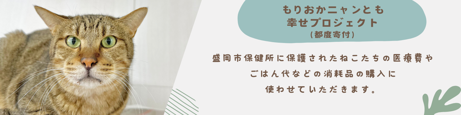 寄付する | Morineko