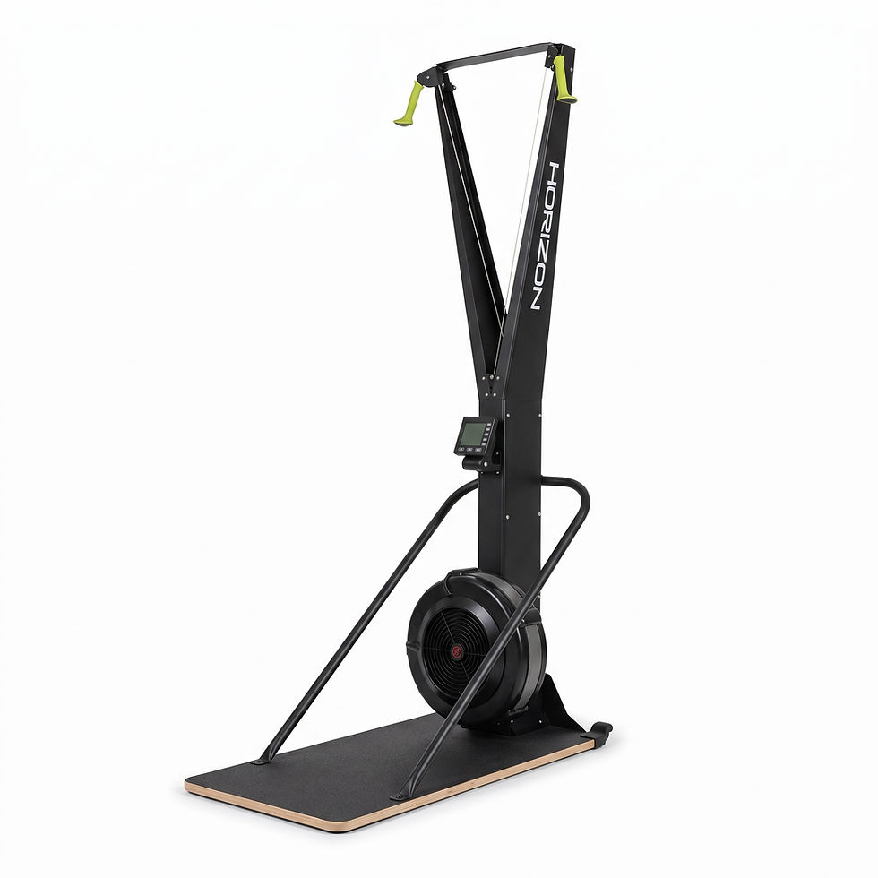 Miniatura: SkiErg Horizon