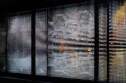 DSC_9004-2ylsisz9f4ue7b8yq7xmo0