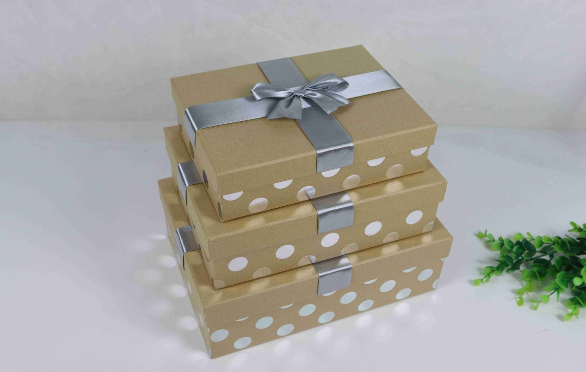 Luxe Rechthoekige Doos met Deksel - Beige Met Zilver Stippen