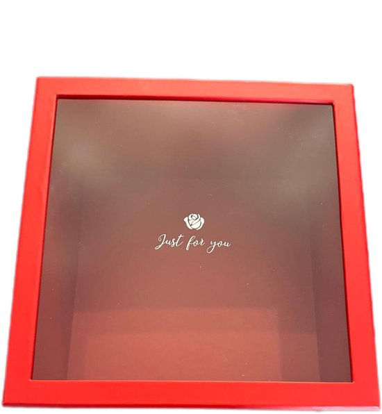 Thumbnail: Doos met Transparant Deksel - Vierkant