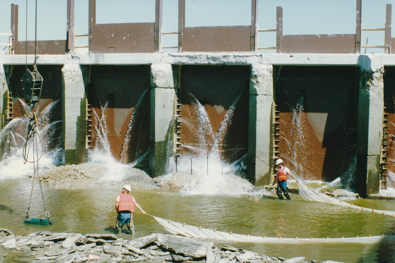 Saving of cuptured fish.jpg