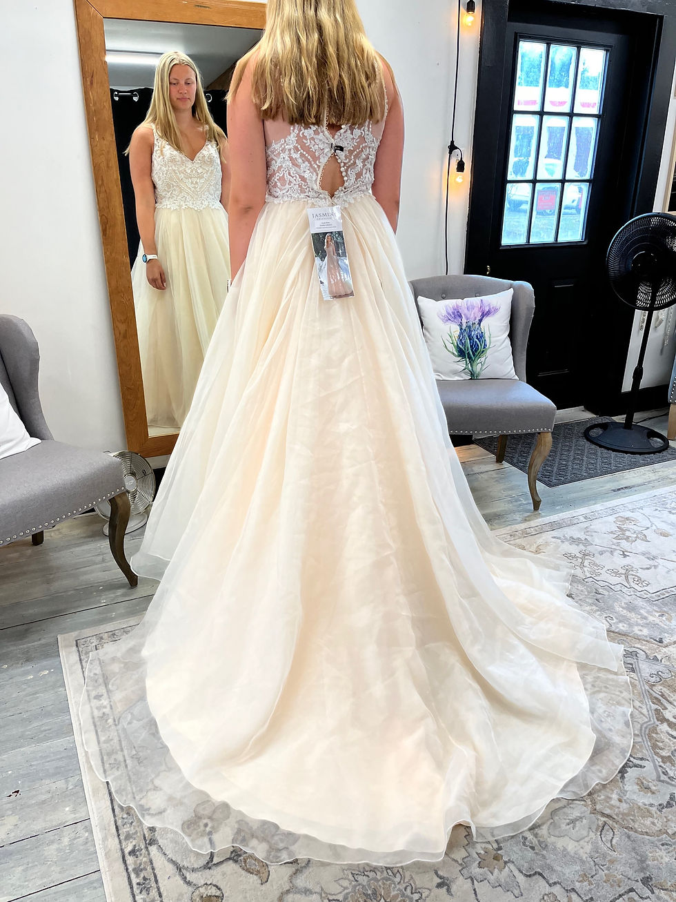 Thumbnail: F201064 V-neck Embroidered Lace Organza & Netting Wedding Dress NWT
