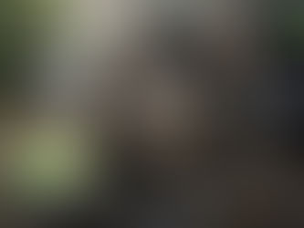 Blower Wheel Cleaning: Symptom-Driven Service for Wiregrass Homeowners