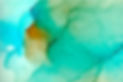 AdobeStock_290148297.jpeg