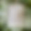 Thumbnail: The Sword Of Vines