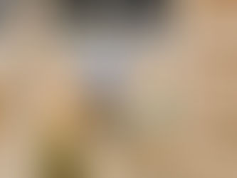 5 Big Tradeshow Ideas to help your brand THINK FORWARD 