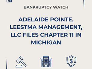 Bankruptcy Watch: Adelaide Pointe and Leestma Files Chapter 11 in Michigan