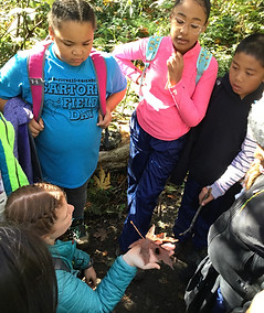 Students stop for an interesting nature moment to learn about the "wooly bear."