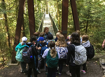 Students learn about the ins and outs of the suspension bridge, leaning into discomfort to cross the ravine