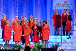 46869071914_fe1ce93aff_z