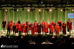 47593103061_28aca18268_z