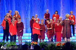 46869072424_43357c1c0e_z