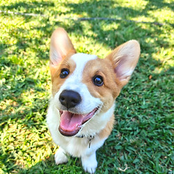 customized fitness program over 50