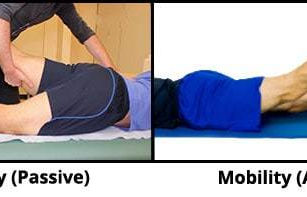 Flexibility or Mobility?