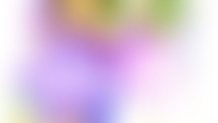 Welcome to fairyland