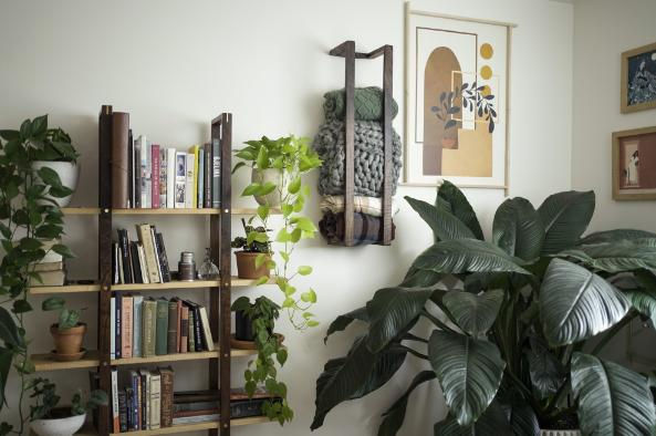 Thumbnail: Cozy living room decor with blankets and plants