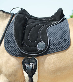 Signum Omega Innovation Reitpad Dressage