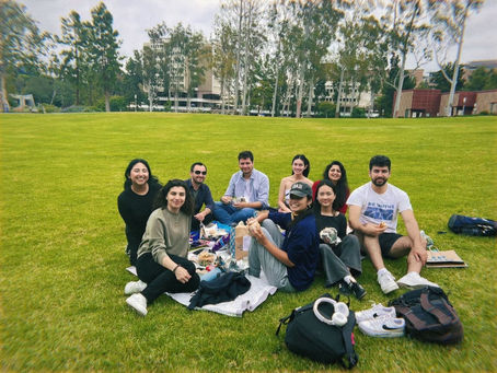Summer news