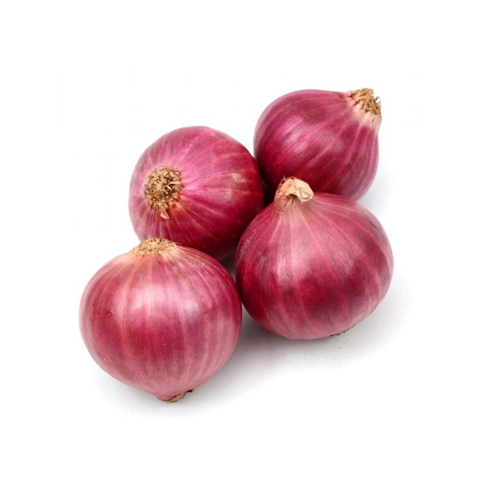 Onion Red