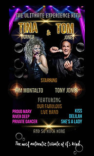 TINA & TOM SHOW poster.jpg