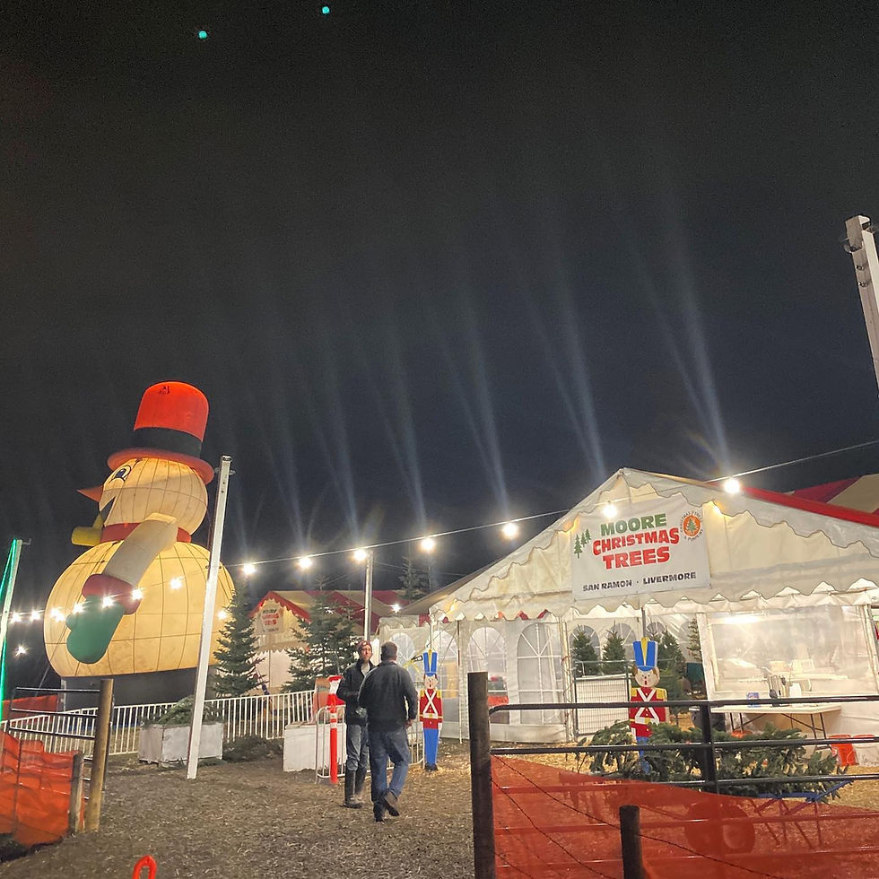 Employment Moore Christmas Trees