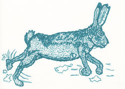 bunny running so fast