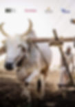 Sustainable-Fashion-Starts-Here-Farming.jpg