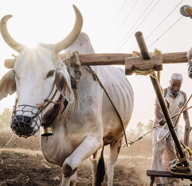 Sustainable-Fashion-Starts-Here-Farming.jpg