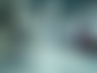 Exploring the Benefits of NoName Garments