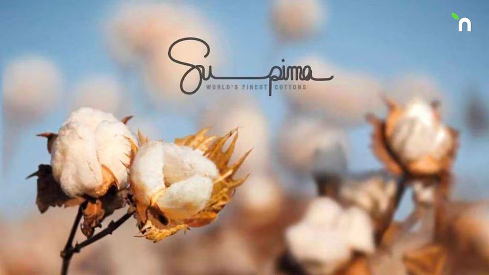 Supima Cotton T-shirts manufacturer in India