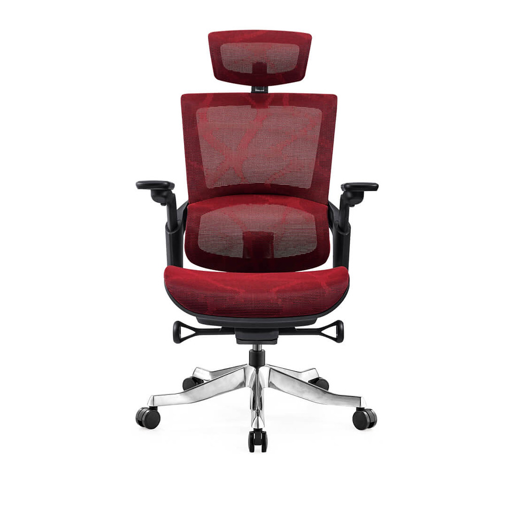 Ergonomic Stellar Office Chair