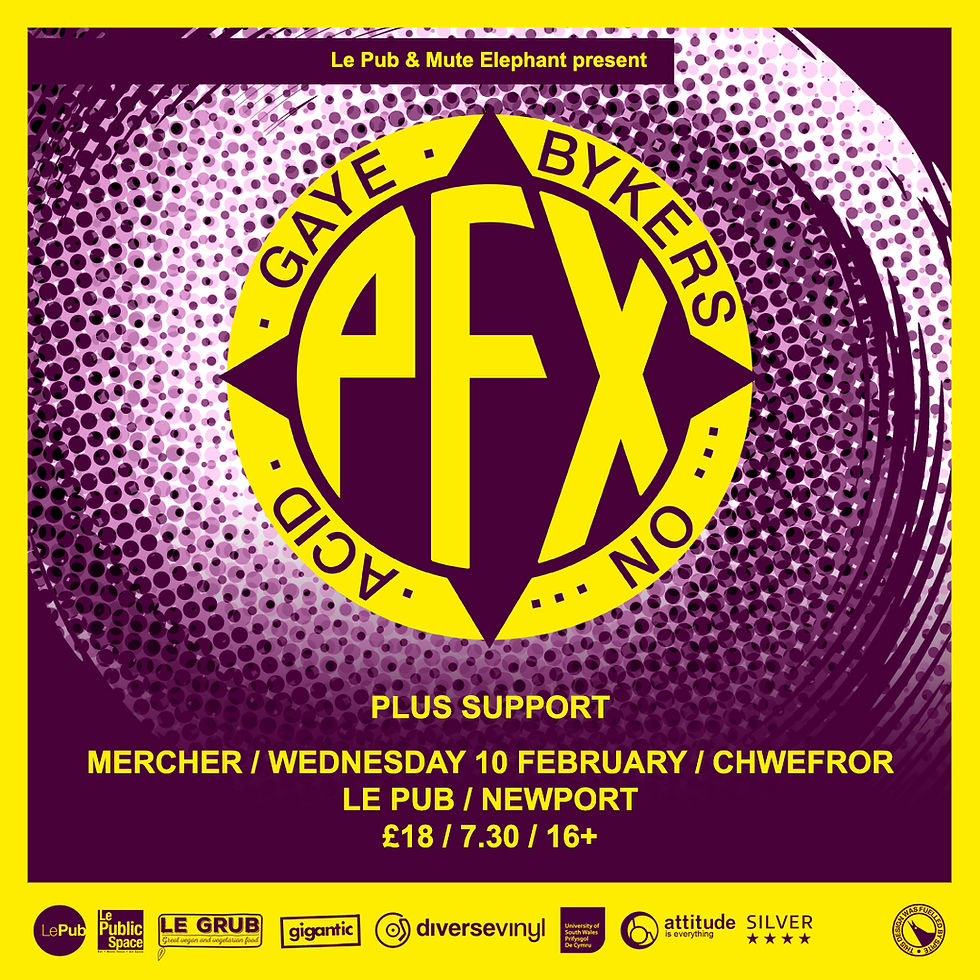 Gaye Bykers On Acid + Support