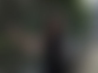 Animal Activist : SFCC killing pet dogs illegally